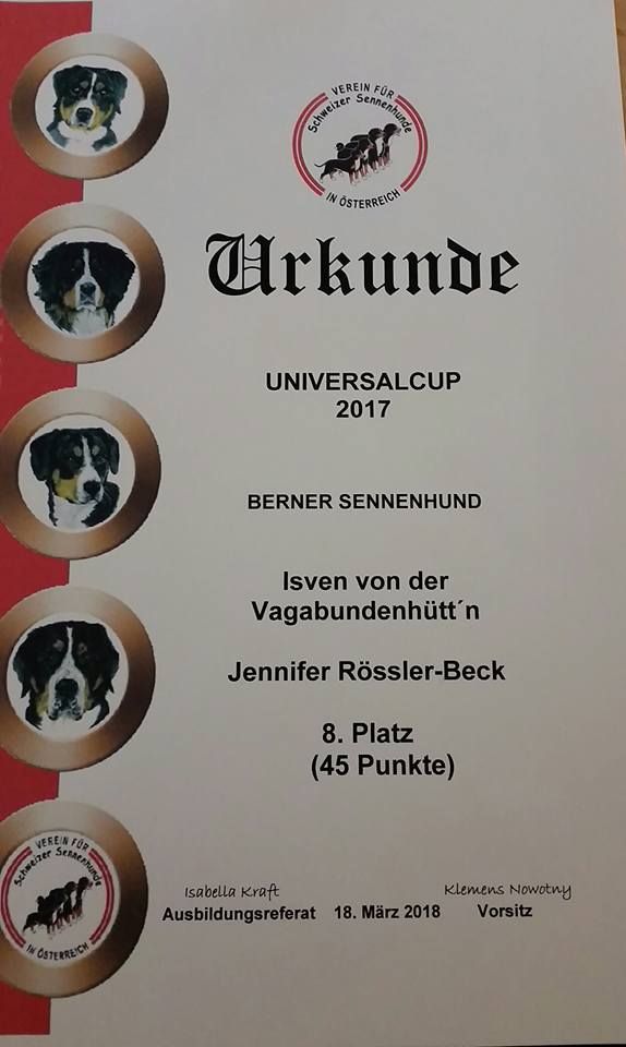 Universalcup-8-Platz